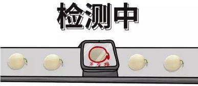 娱乐吃瓜酱哪里出了问题,探寻问题根源,还原事件真相