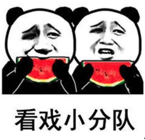 天天吃娱乐瓜,天天吃不停!