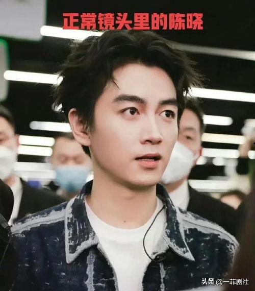 明星娱乐吃瓜八卦图,明星八卦图背后的惊人真相