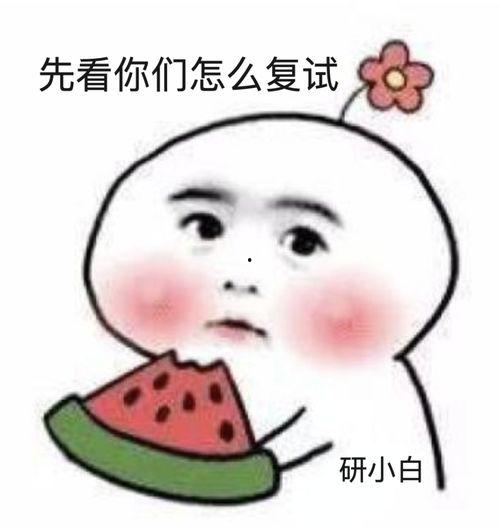 别人发吃瓜表情怎样回应