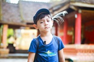 吃瓜娱乐咸小鱼,揭秘娱乐圈幕后故事