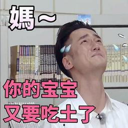 娱乐吃瓜表情包图片,笑翻你的表情包盛宴