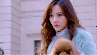 娱乐吃瓜直播讲故事是真的吗,娱乐故事背后的真实与虚构