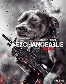 娱乐吃瓜汪星人是谁啊,网络红星的崛起之路